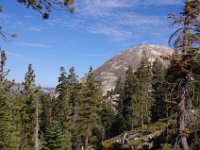 USA 24  Yosemite Nationalpark: Sentinel Dome