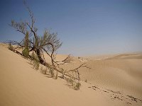30 Oman  Rub al Khali Wüste